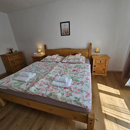 Apartman U Labe Decin Exterior photo
