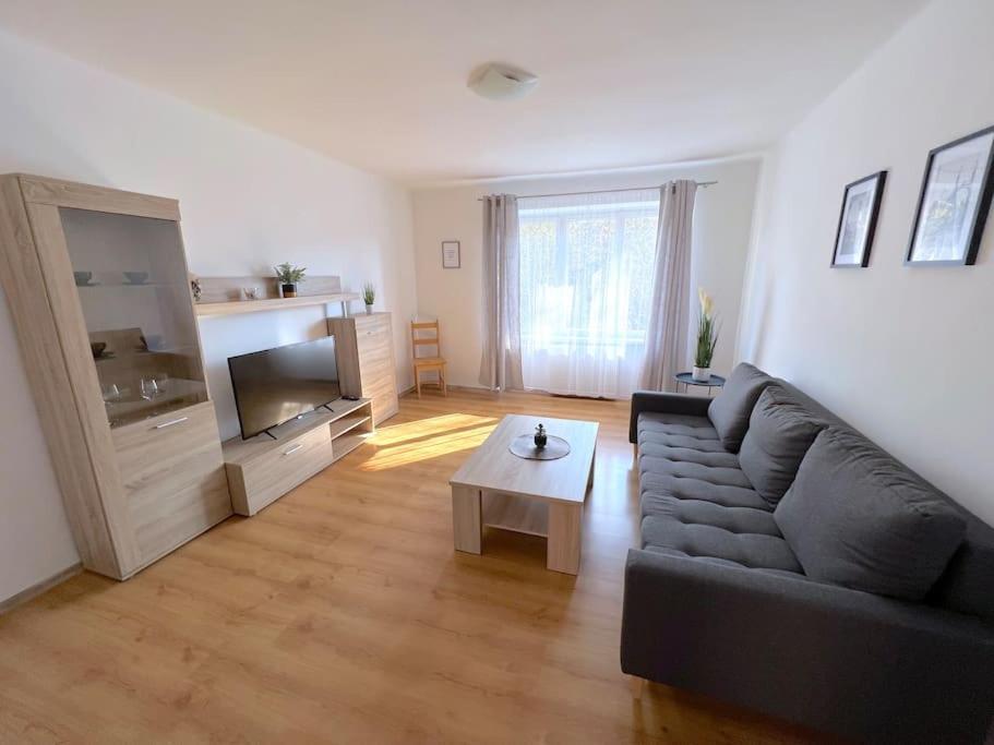 Apartman U Labe Decin Exterior photo