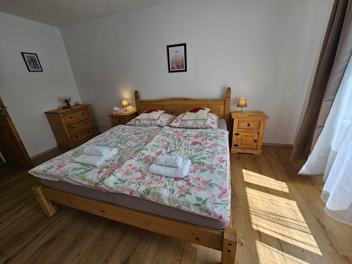 Apartman U Labe Decin Exterior photo
